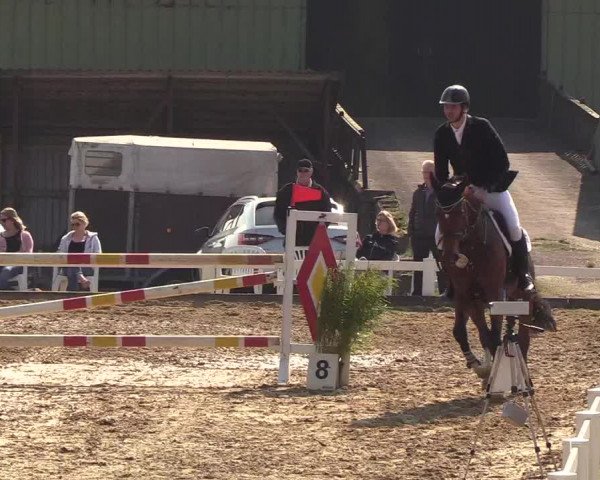 Reitturnier Behrendorf 2019