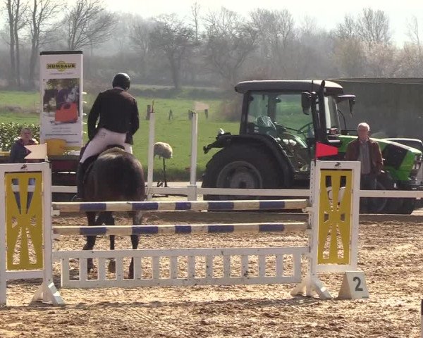 Reitturnier Behrendorf 2019