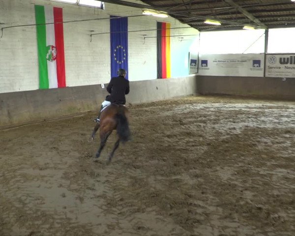 Reitturnier Jüchen-Waat 2019
