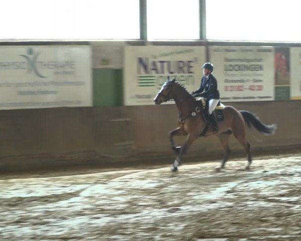 Reitturnier Jüchen-Waat 2019