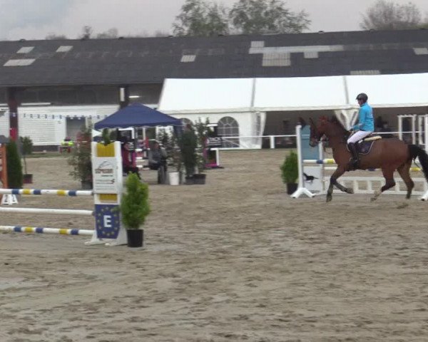 Reitturnier Bottrop 2019