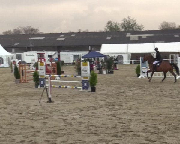 Reitturnier Bottrop 2019