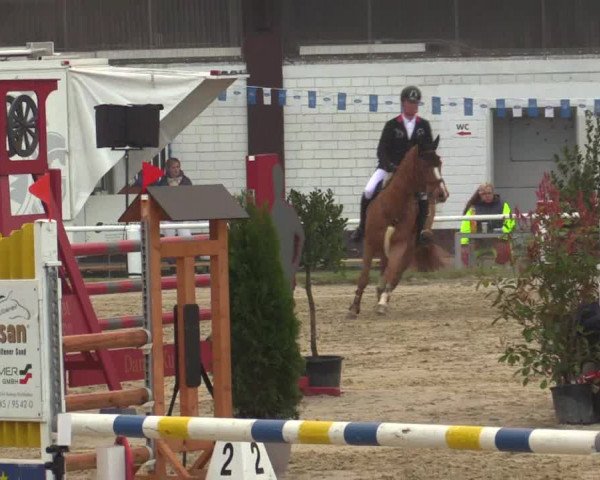 Reitturnier Bottrop 2019