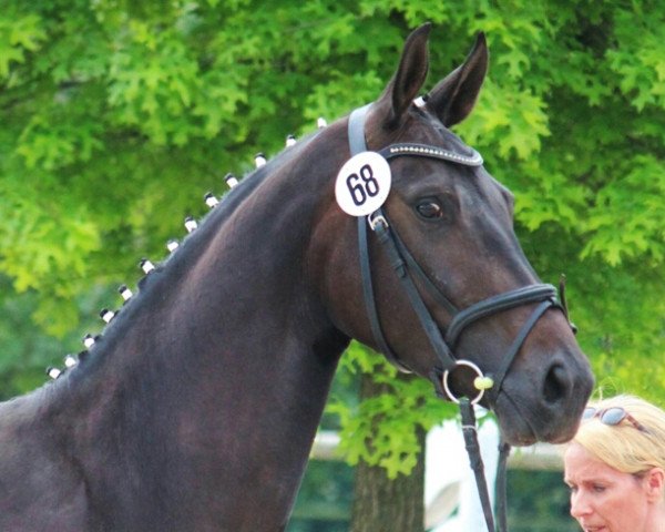 horse C'est Jolie (Westphalian, 2011, from Can Do L)