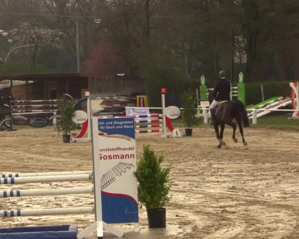 Reitturnier Bottrop 2019