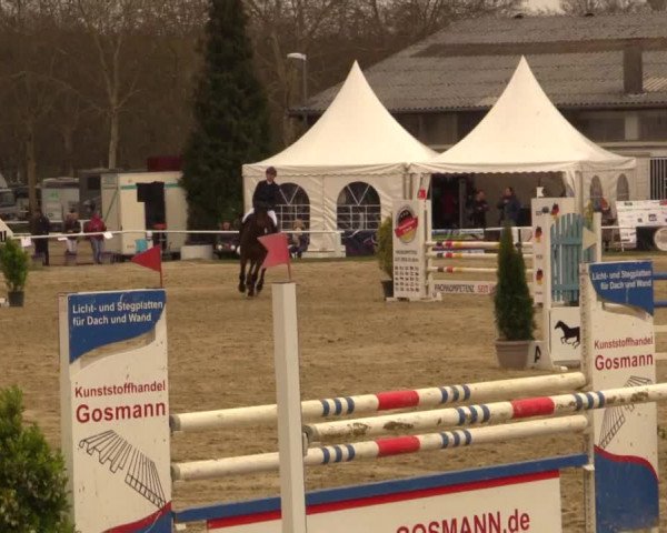 Reitturnier Bottrop 2019