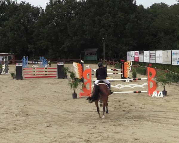 Equus Colonius - Reitanlage Brüse Köln 2021