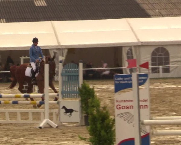 Reitturnier Bottrop 2019