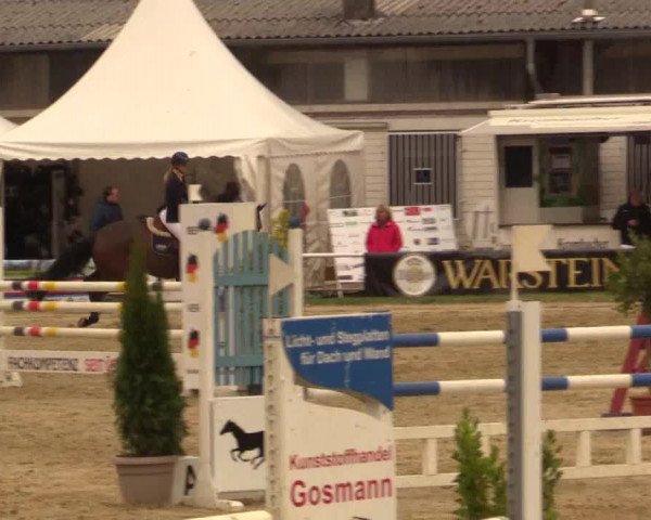 Reitturnier Bottrop 2019
