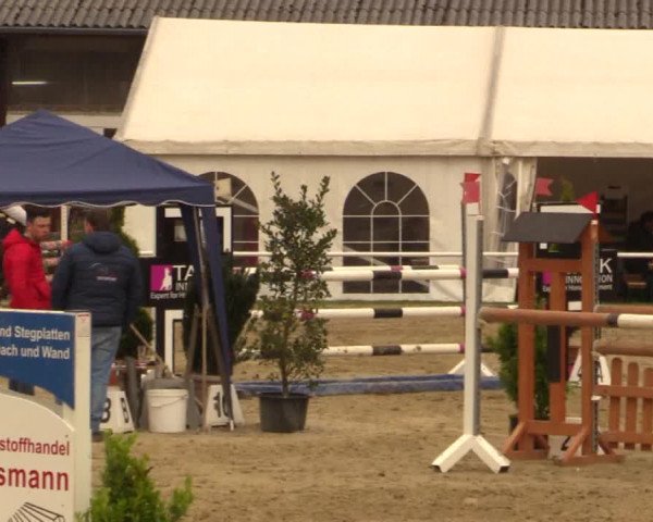 Reitturnier Bottrop 2019