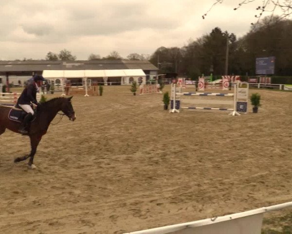 Reitturnier Bottrop 2019