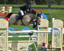 jumper Shirsheen Cruiser (Irish Sport Horse, 2009)