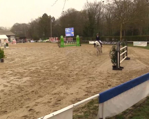 Reitturnier Bottrop 2019