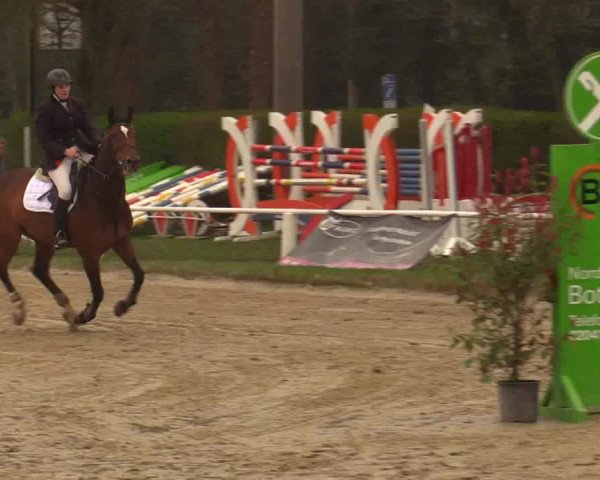Reitturnier Bottrop 2019