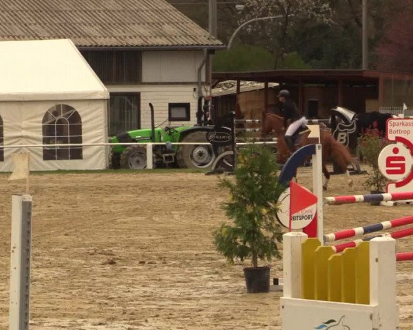 Reitturnier Bottrop 2019