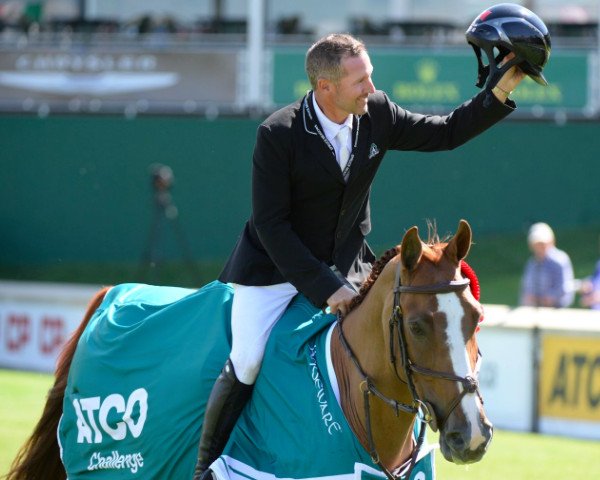 jumper Melody des Hayettes Z (Zangersheide riding horse, 2004, from Mozart des Hayettes)