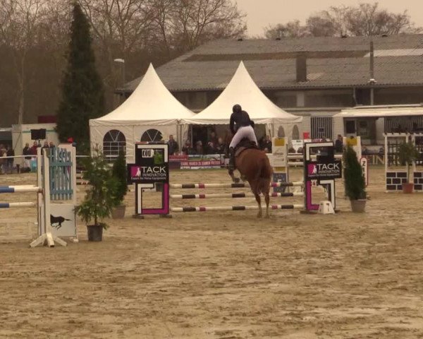 Reitturnier Bottrop 2019