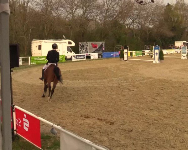 Reitturnier Bottrop 2019