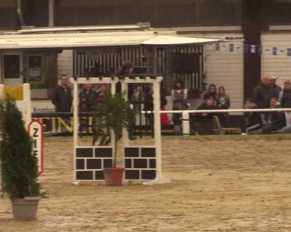 Reitturnier Bottrop 2019