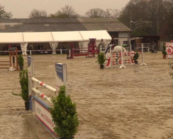 Reitturnier Bottrop 2019