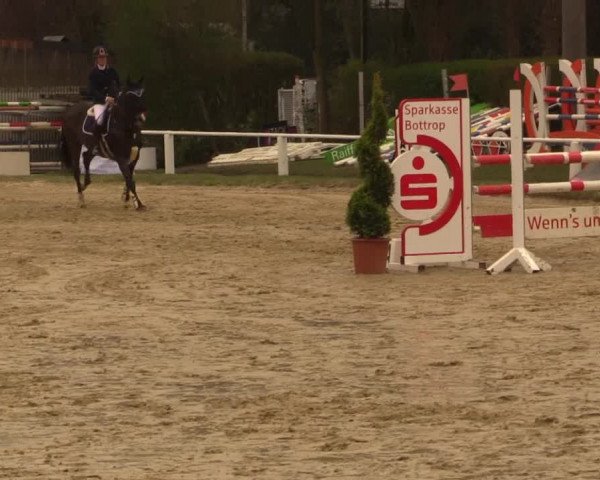 Reitturnier Bottrop 2019