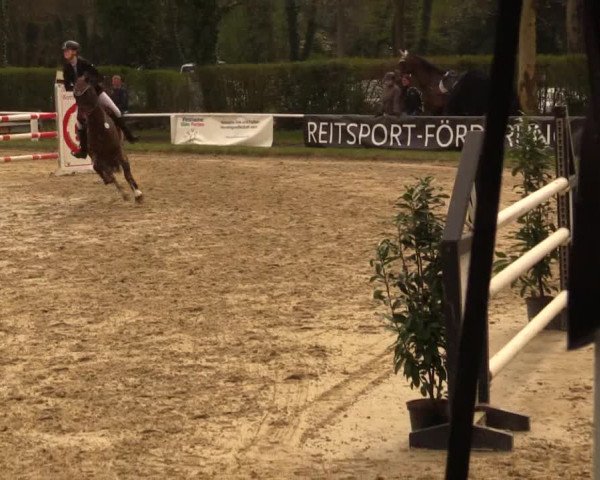 Reitturnier Bottrop 2019