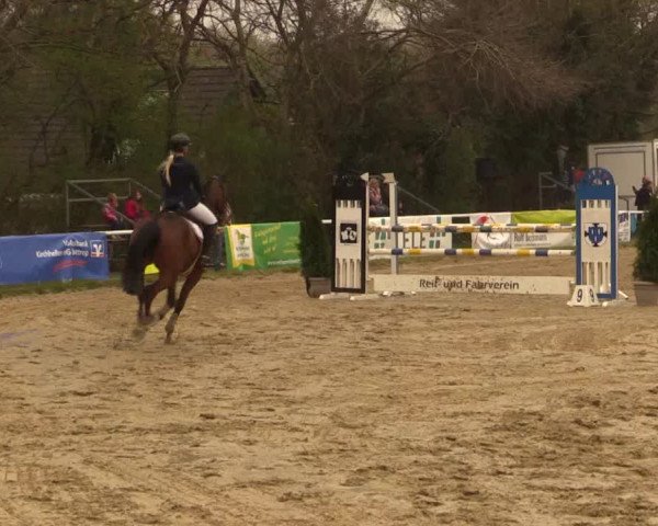 Reitturnier Bottrop 2019