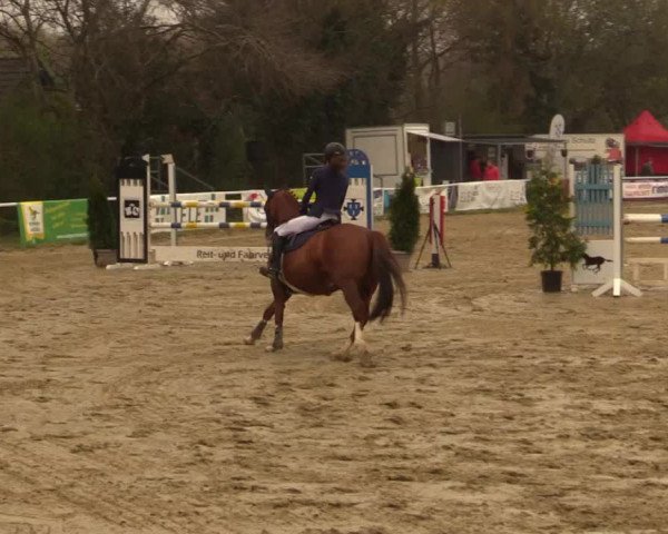Reitturnier Bottrop 2019