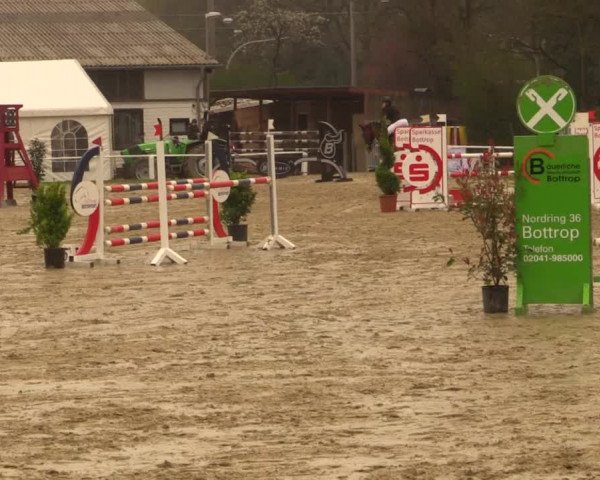Reitturnier Bottrop 2019