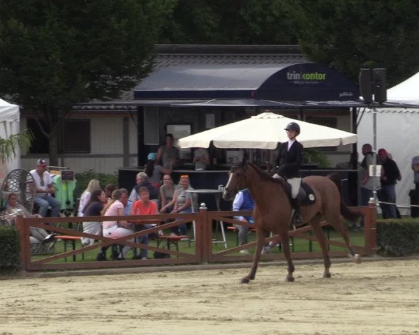 Equus Colonius - Reitanlage Brüse Köln 2021