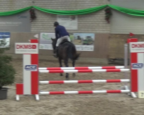 Reitturnier Leverkusen-Rheindorf 2019