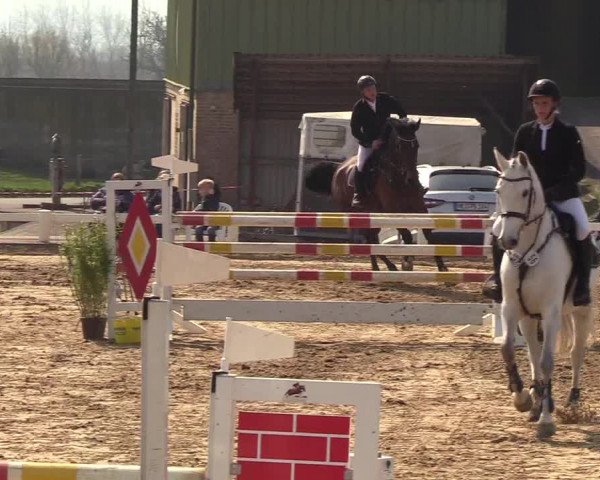 Reitturnier Behrendorf 2019