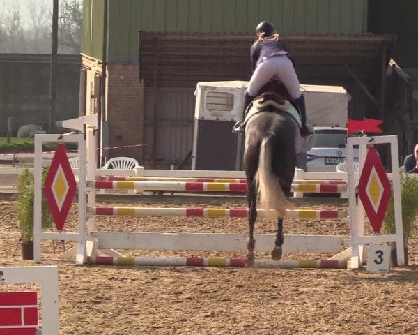 Reitturnier Behrendorf 2019