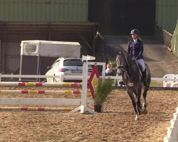 Reitturnier Behrendorf 2019
