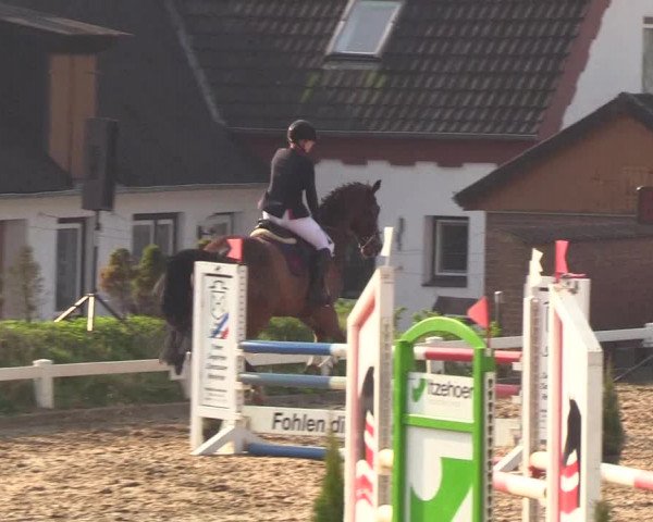 Reitturnier Behrendorf 2019