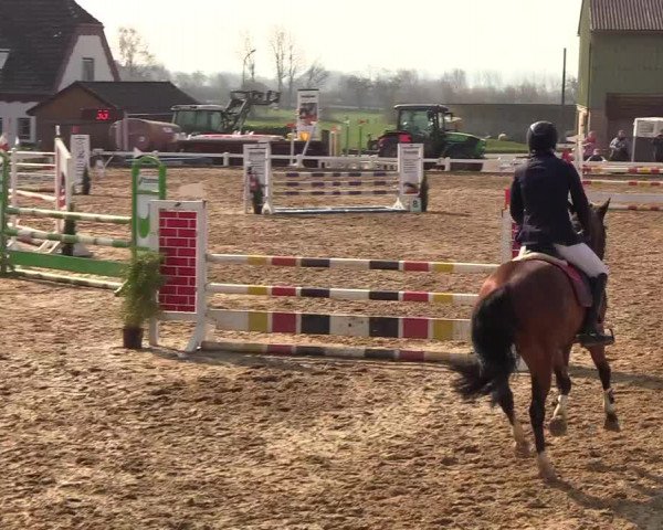 Reitturnier Behrendorf 2019