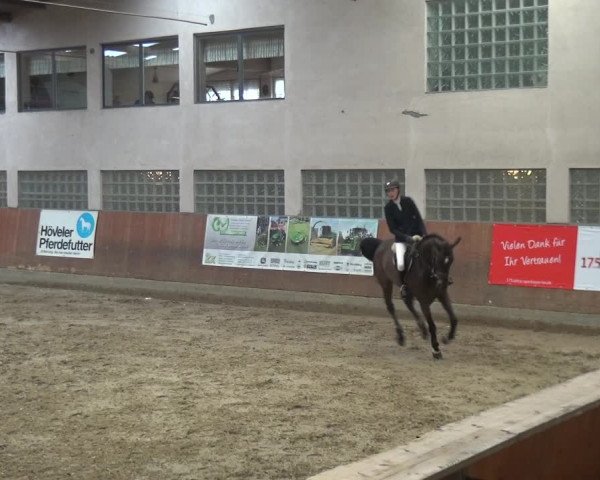 Reitturnier Leverkusen-Rheindorf 2019