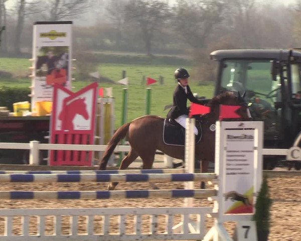 Reitturnier Behrendorf 2019
