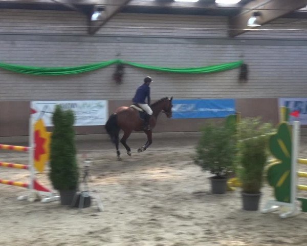 Reitturnier Leverkusen-Rheindorf 2019