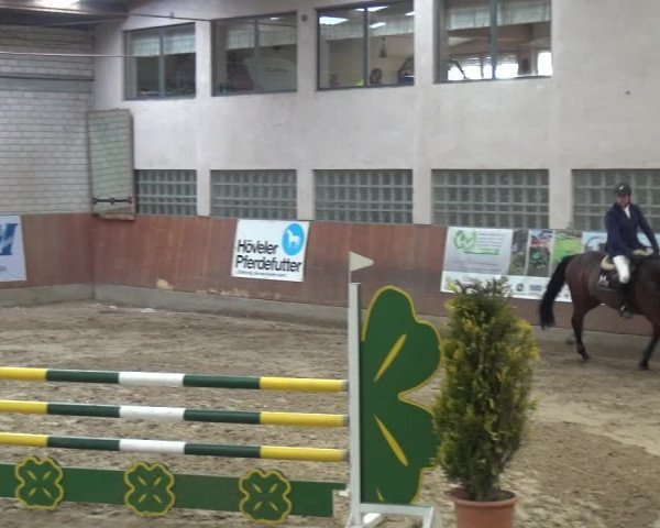 Reitturnier Leverkusen-Rheindorf 2019