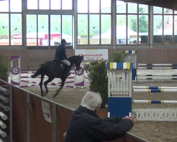 Reitturnier Leverkusen-Rheindorf 2019
