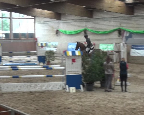 Reitturnier Leverkusen-Rheindorf 2019