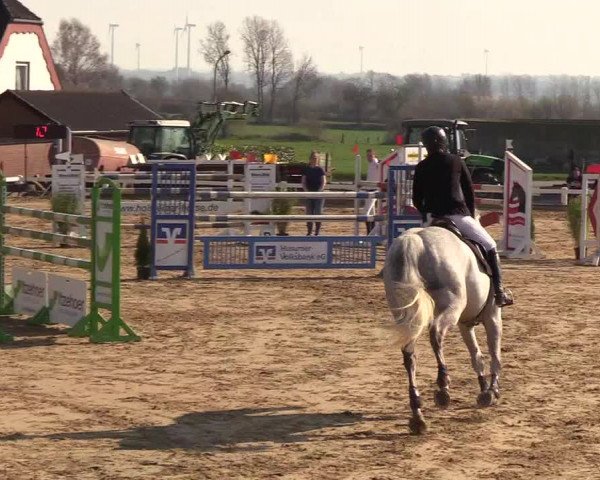 Reitturnier Behrendorf 2019