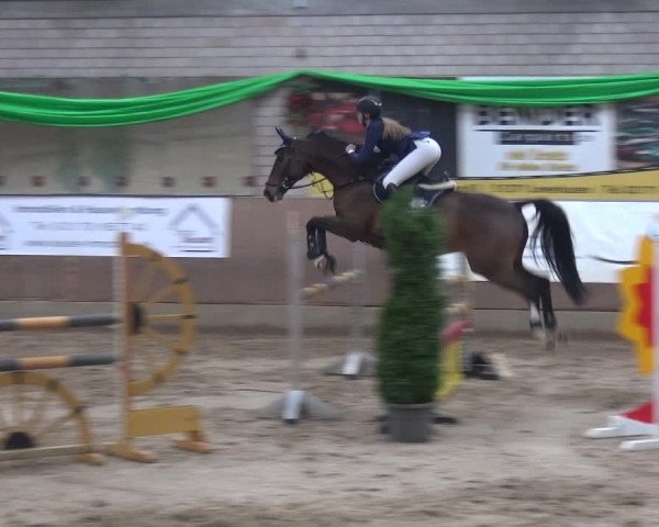 Reitturnier Leverkusen-Rheindorf 2019