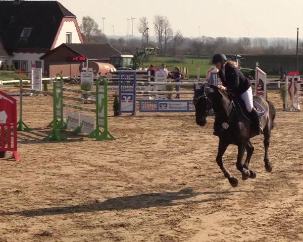 Reitturnier Behrendorf 2019
