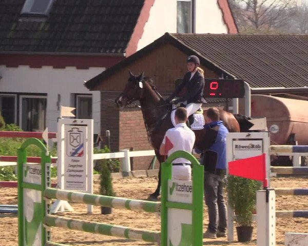 Reitturnier Behrendorf 2019