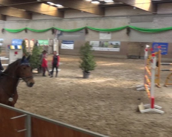 Reitturnier Leverkusen-Rheindorf 2019