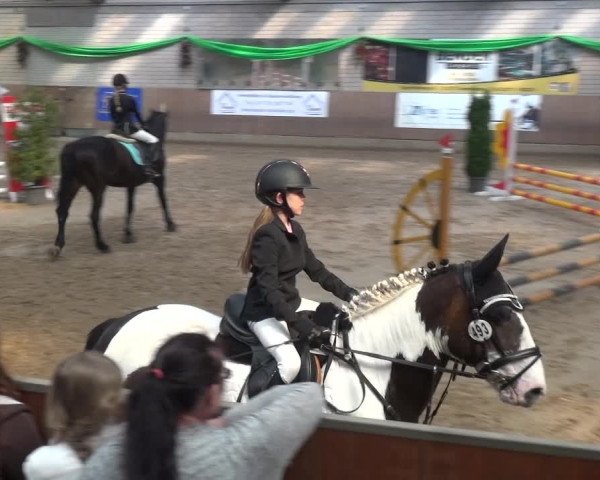Reitturnier Leverkusen-Rheindorf 2019