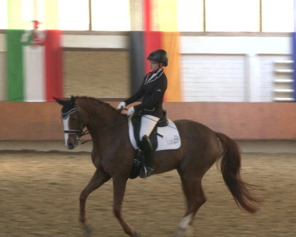 Reitturnier Bottrop 2019
