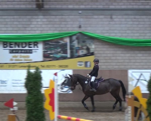 Reitturnier Leverkusen-Rheindorf 2019